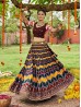 Multicolor Navratri Womens Lehenga