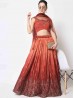 Indian Festival Womens Wear Lehenga