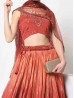 Indian Festival Womens Wear Lehenga