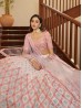 Bridal Wear Indian Designer Lehenga