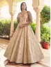 Beautiful Designer Sequence Work Long Gown
